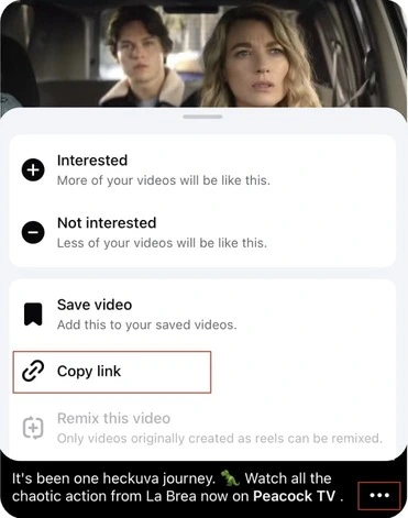 Copy the video url