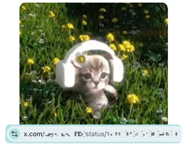 Copy the Twitter gif url